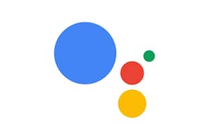 domotica - google assistant copia